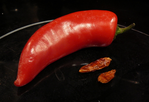 Fresh red chili looming over dried up dark red chili
