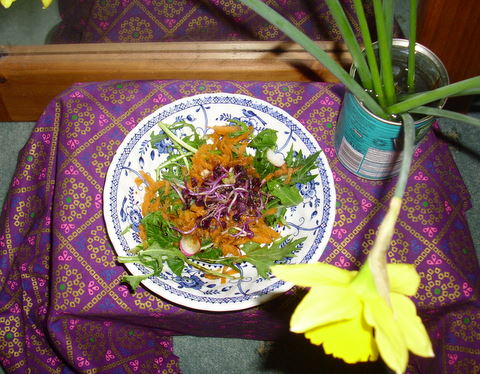 Small bowl of salad (green leaves, carrots and purple radish sprouts)