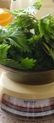 Nettles piled on scales