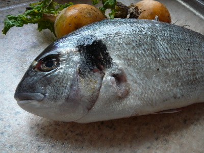 Black bream before baking