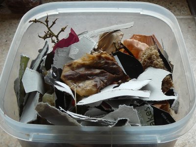 Food waste becoming compost