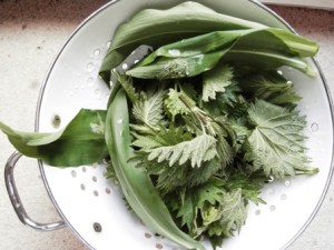 nettles-and-wild-garlic-rinsed-in-colander