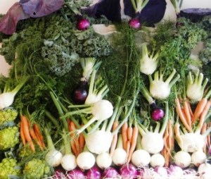 Better health campaign launch