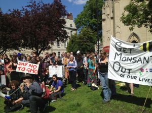 Portman Square Bristol BS2 Sat 25 May 2013