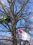 Tree top camps Bristol Metrobus protest
