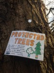 Protected trees sign