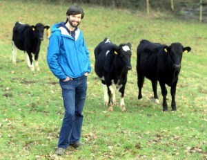 Young man with three cows