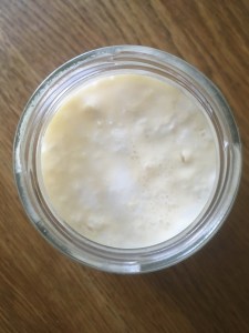 From above inside of kefir milk jar 