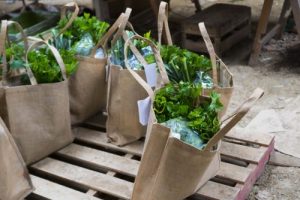 Fresh biodynamic veg and local food for local delivery near Totnes 